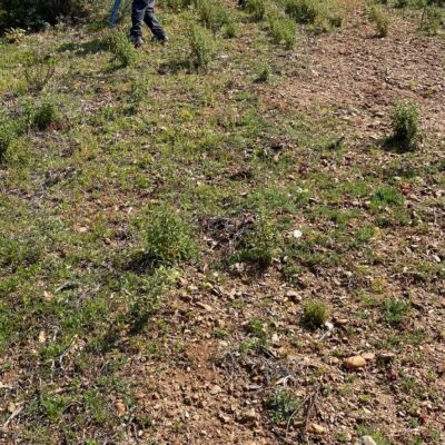 metal-detector-localizzatore-6